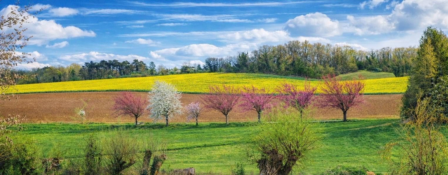 Paysage de Longuesse, Val d'Oise — campagne du Vexin français